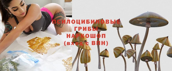 apvp Балабаново