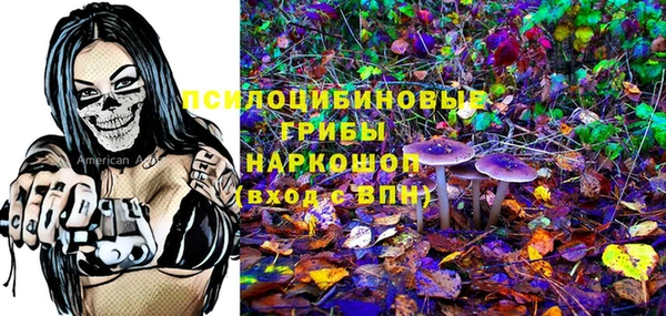дмт Армянск