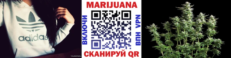 Каннабис OG Kush  Великий Устюг 